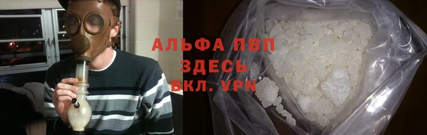 СК Абинск