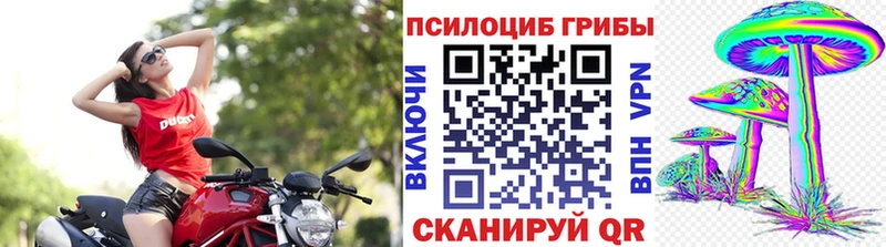 Псилоцибиновые грибы Psilocybe  Усолье 